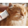 Catlink Pet Trimmer maszynka do strzyżenia zwierząt - 1606107 - zdjęcie 5
